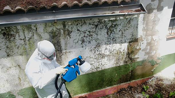 Trusted Mold Inspection service in Breezewood, PA - Cheap Mold Removal